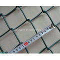 Verzinkt / PVC beschichtet Kettenglied Zaun (Diamantdrahtgeflecht)